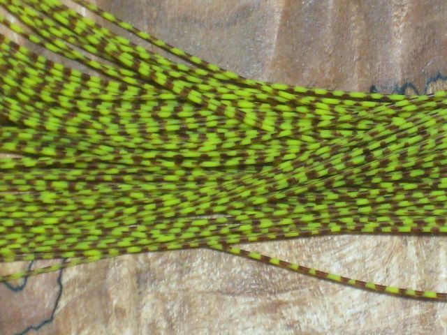 Barred Round Rubber Legs
