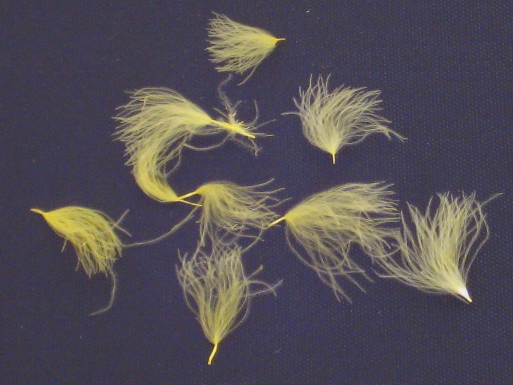 CDC Puffs
