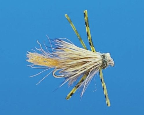 Delektable Sparkle Bug