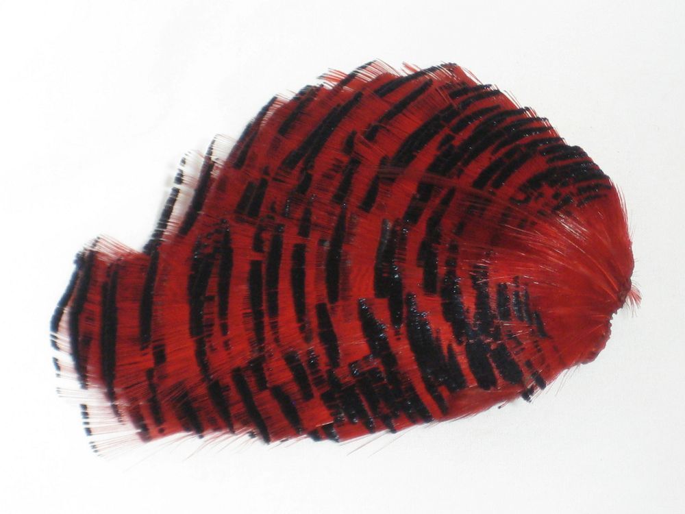 Dyed Golden Pheasant Tip