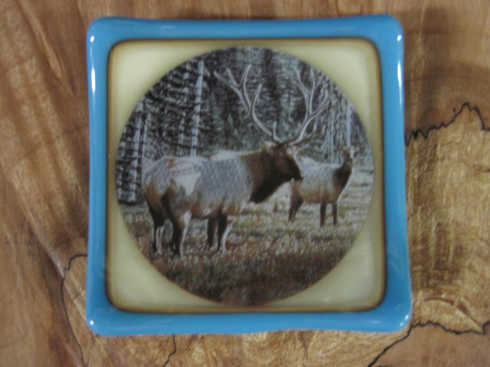 Elk Anything Dish