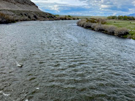 May 23rd- May 29th Upper Madison Fishing Report