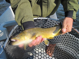 IMG_0970 SM