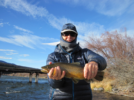 October 25th – November 24th | Madison River