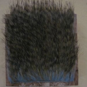 Craft Fur Barred Red Squirrel