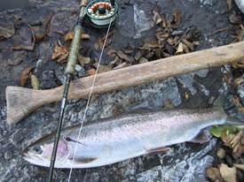 Late October-Early November | Rogue River Fishing Report