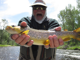June 10th | Big Hole River Fishing Report
