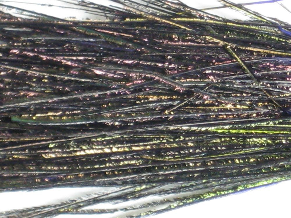 Peacock Herl Strung