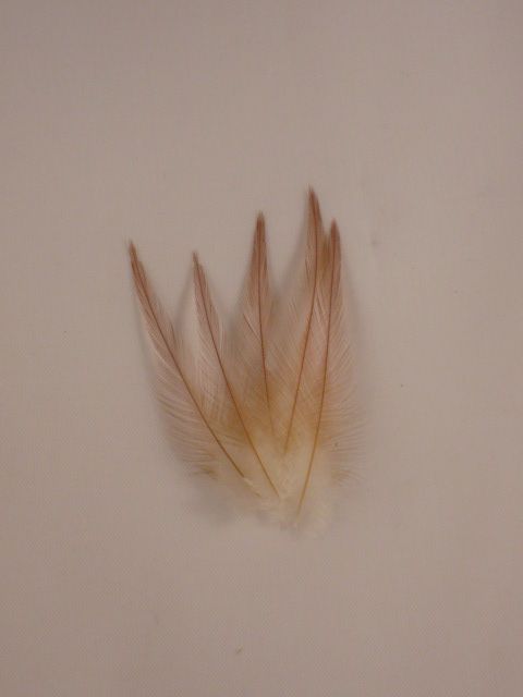 Select Dry Fly Hackles