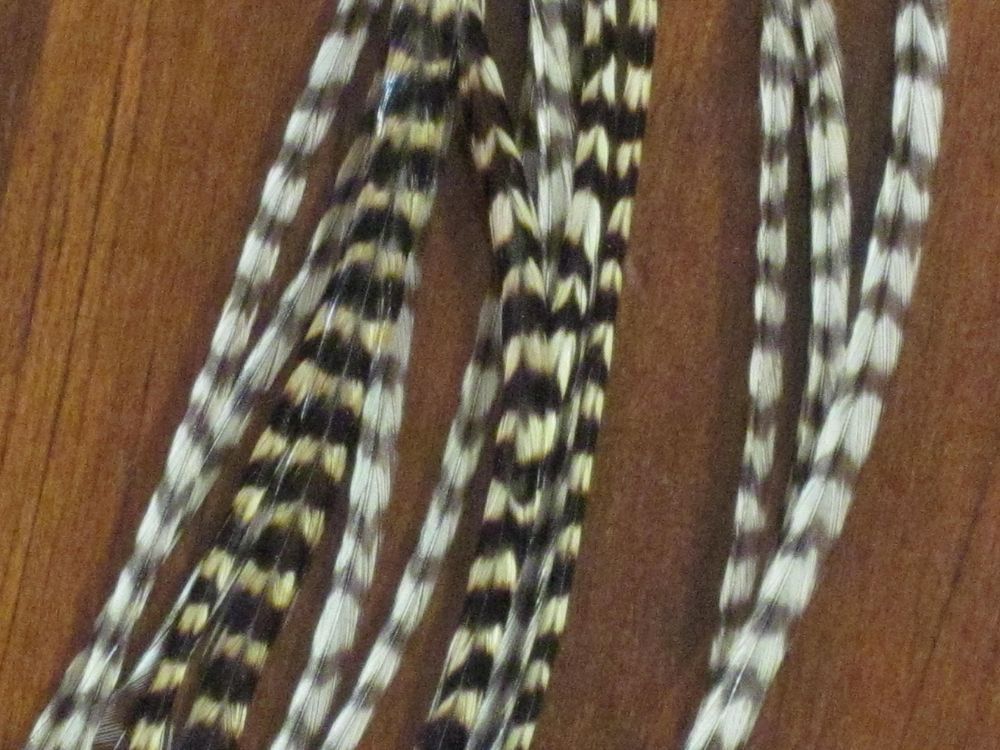 Whiting 100 Pk Dry Fly Hackle