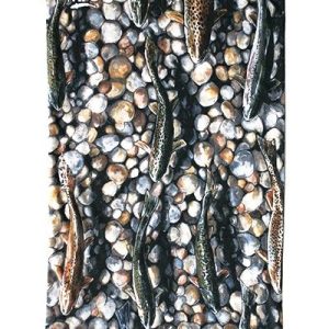 MFC Fish Gaiter-Udesen Artist