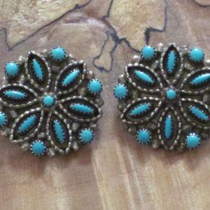 Zuni Snake Eye Needlepoint Turq
