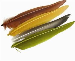 Duck Quill