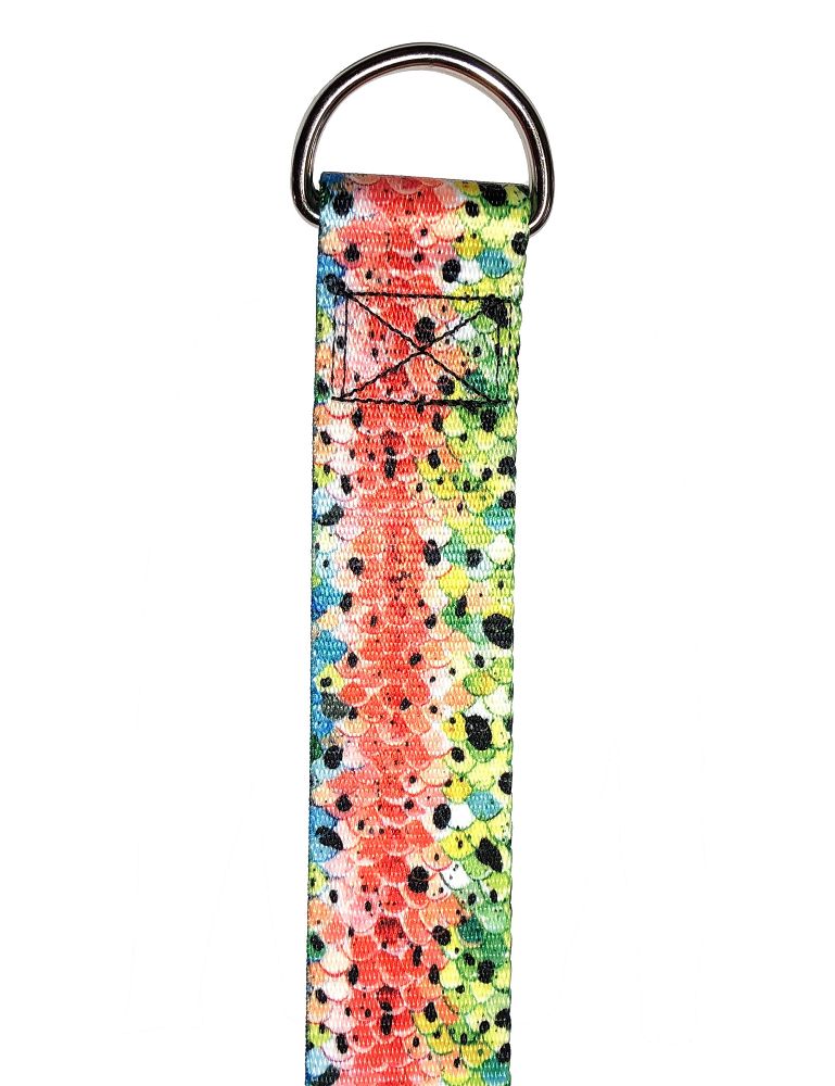 Rainbow #3 Belt