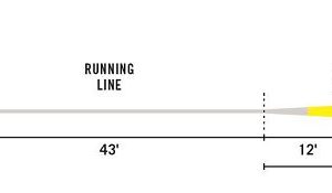 Rio Elite Gold Fly Line