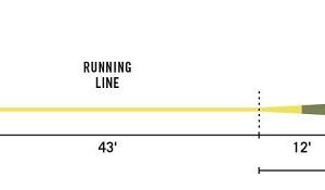 RIO Premier Gold Fly Line