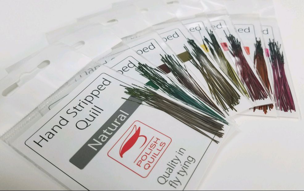 Polish Stripped Peacock Quills