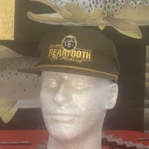 256 Umpqua Cap