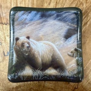 Grizzly Bear Anything Dish