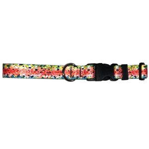 Rainbow Trout #3 Dog Collar