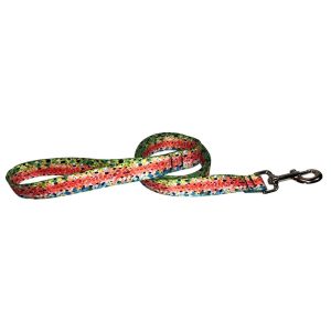 Rainbow #3 Dog Leash